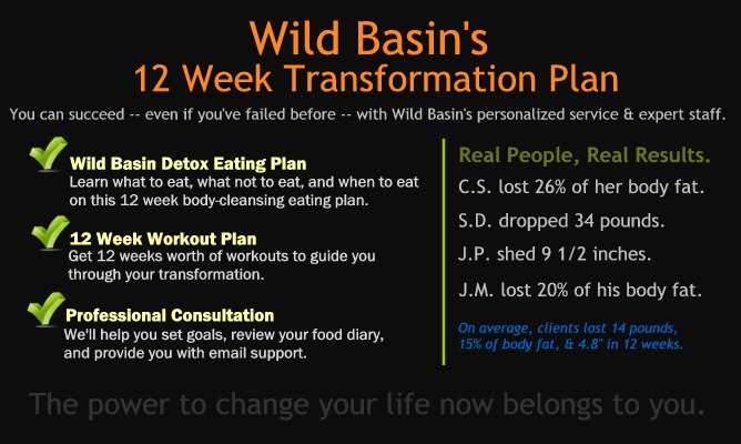 12 Week Transformation Plan